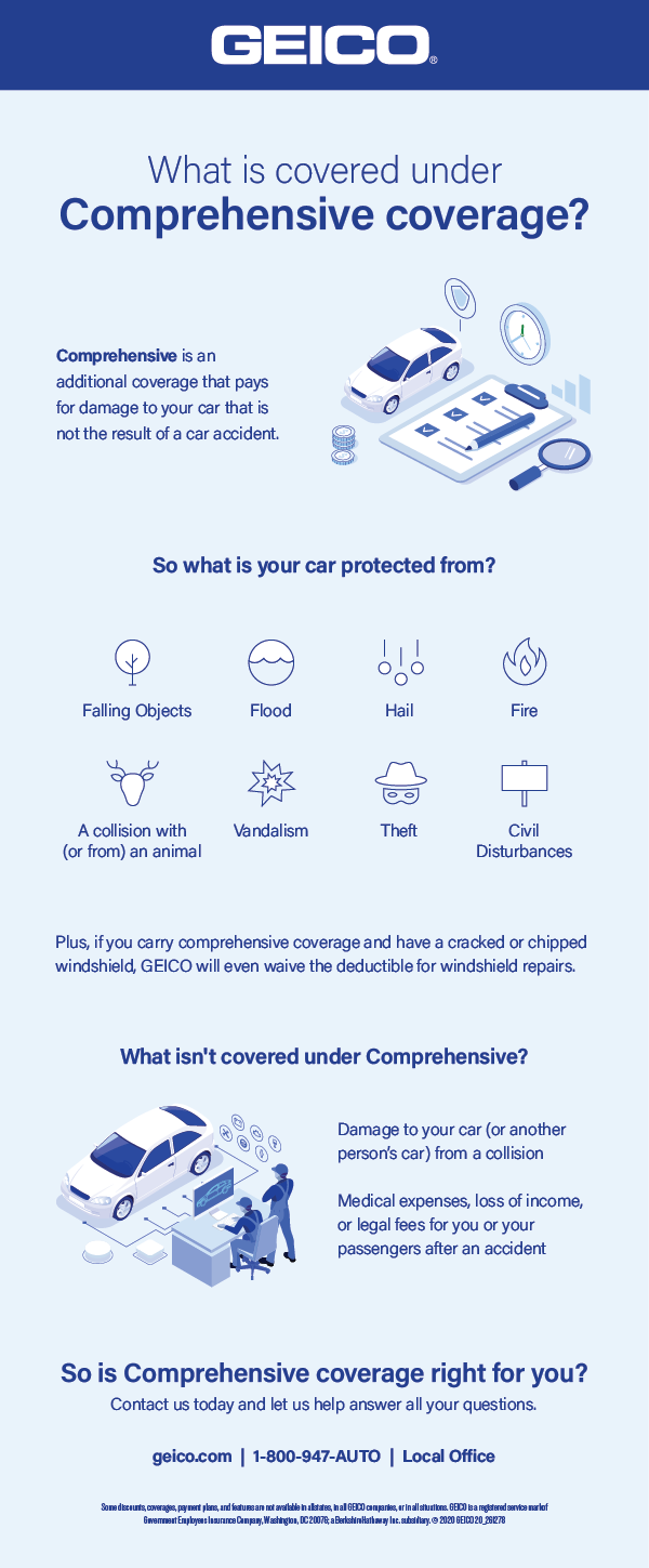 Insurance 101: What Does Comprehensive Cover? | GEICO Living