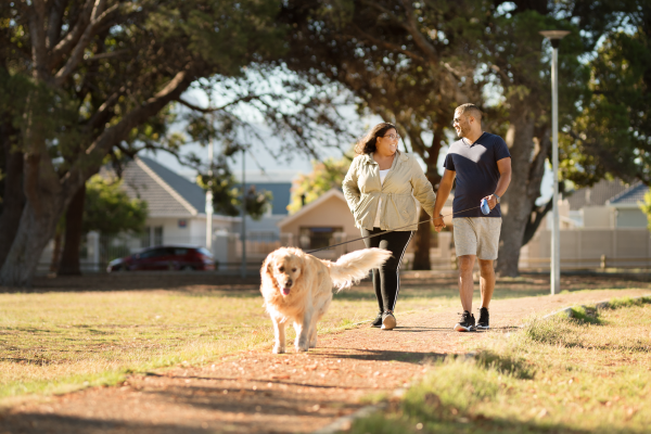 couple walking golden retriever dog