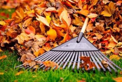 Leaf and Lawn chute to Rake and Fill Bags In One Step with Less