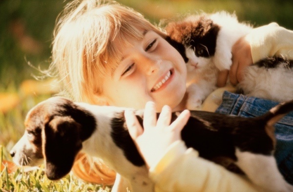 Little girl cuddling puppy and kitten