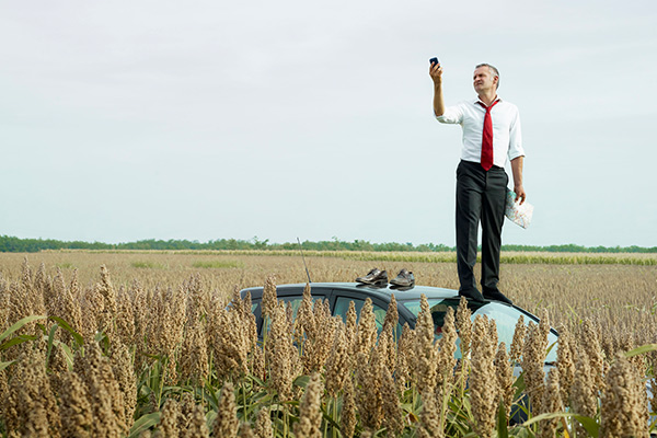 Man standing on car in cornfield trying to get cell reception