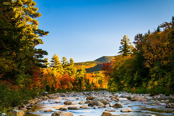 Autumn color along the Swift River, along the Kancamagus Highway in White Mountain National Forest, New Hampshire.