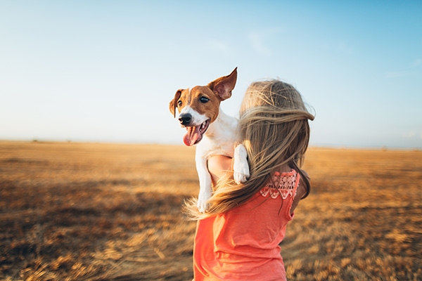 Girl holding Jack Russell terrier in a field