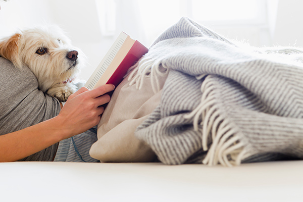 dog and woman reading a book in bed