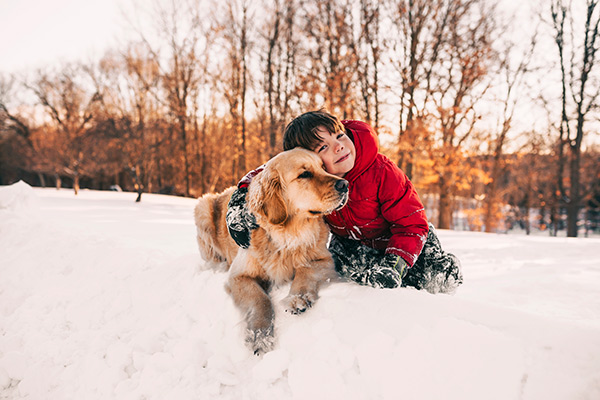 child and golden retriever sitting in snow