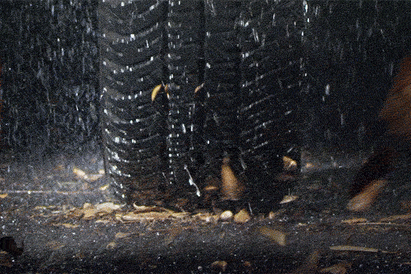 tire driving through wet leaves and snow