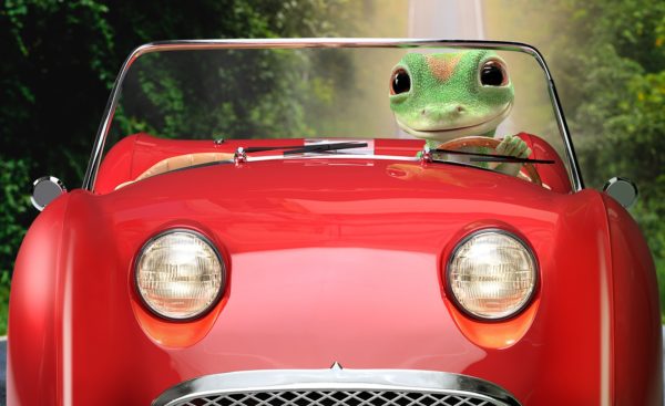 Gecko in convertible