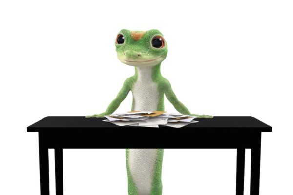 Gecko standing by desk piled with mail