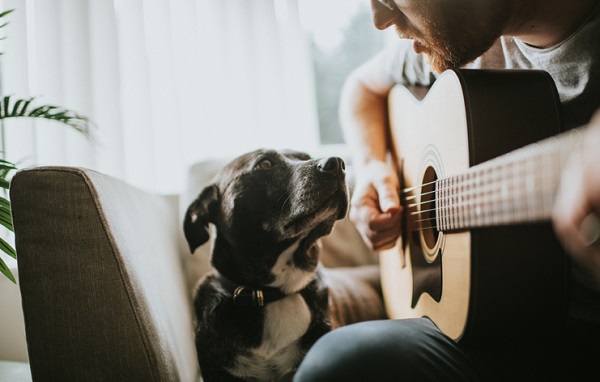 Man serenades his dog with guitar