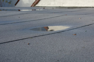 Ponding rain water on flat roof after rain is result of drainage problem. Roof leaking, settling or sagging is result of framing issues, rotten or saturated sheathing.