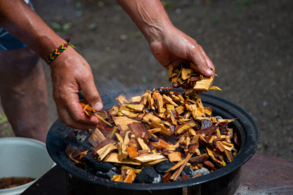 Adding soaked wood chips to the hot coals to enhance the flavour, when smoking meat on the BBQ smoker, at the cottage. part of series.