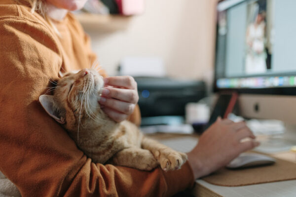 Woman stroking a ginger cat while sitting on her desk with a computer