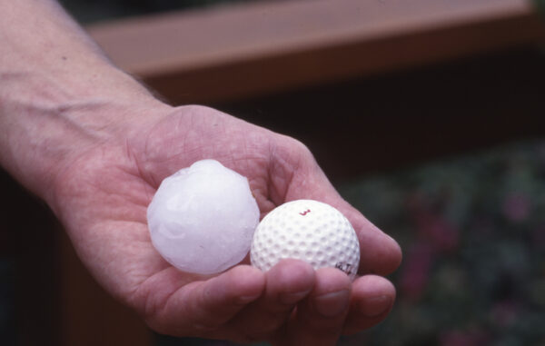 A hailstone bigger than a golfball that fell during a storm in Sydney causing widespread damage.