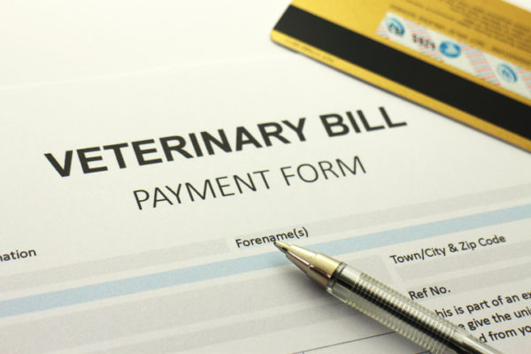 A blank vet bill payment form, generic credit/debit card in shot.