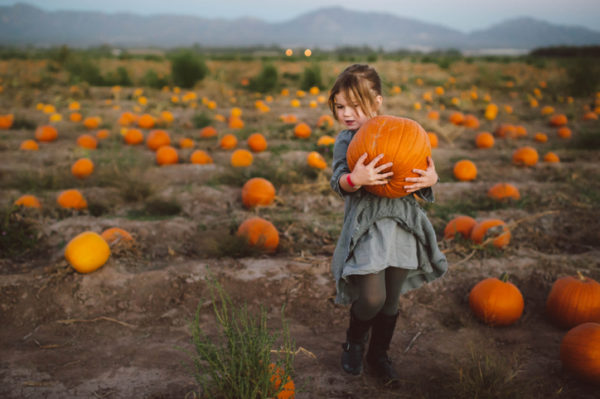 pumpkin patch, girl picking pumpkins, moutains, dusk, sunset