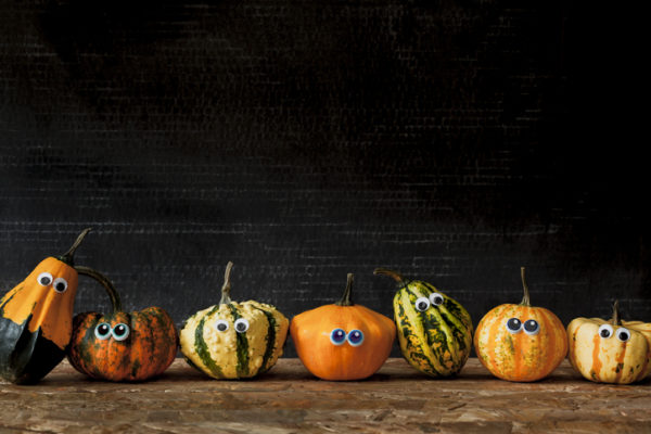 Seven ornamental pumpkins in a row against black background. Halloween themed.