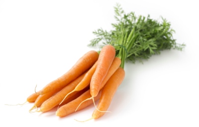 bunch of carrots on white background