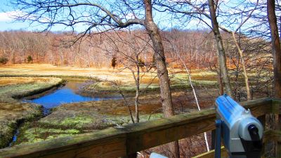 Stewart B. McKinney NWS Salt Meadow Marsh