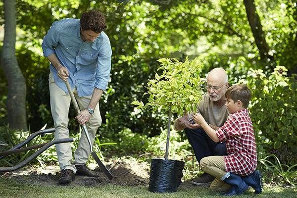 family planting a tree