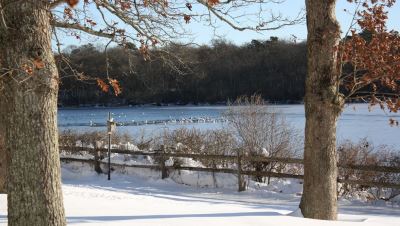 Winter at Wertheim NWR Long Island Complex