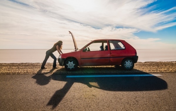 How To Remove Bugs From a Car